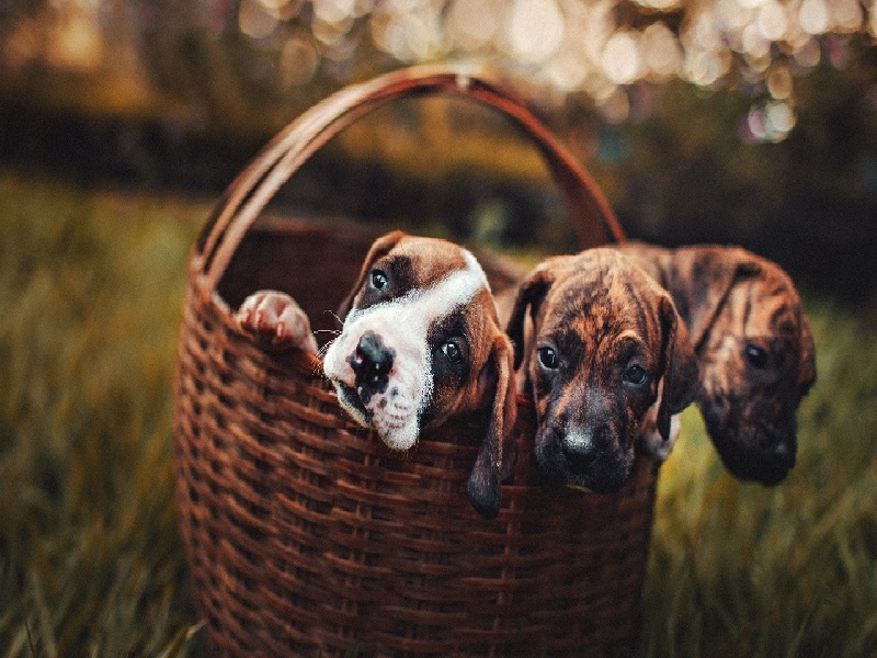 天津代怀最好医院,泰国试管价格高吗？-天津有没有供卵机构_天津供卵试管医院